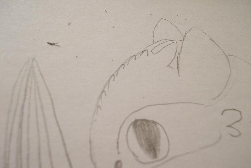 Tagad izzīmēsim noapaļotus... Autors: vienpadsmitgadniece kā zīmēt: tumsējs fūrijs