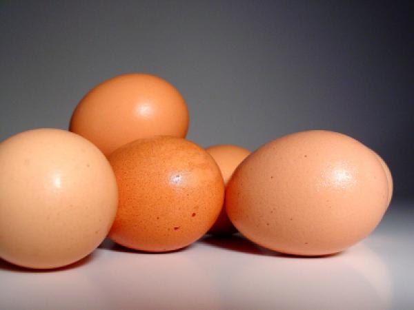 Olas par svaigām tiek... Autors: Fosilija fakti par olām (ēdamajām)