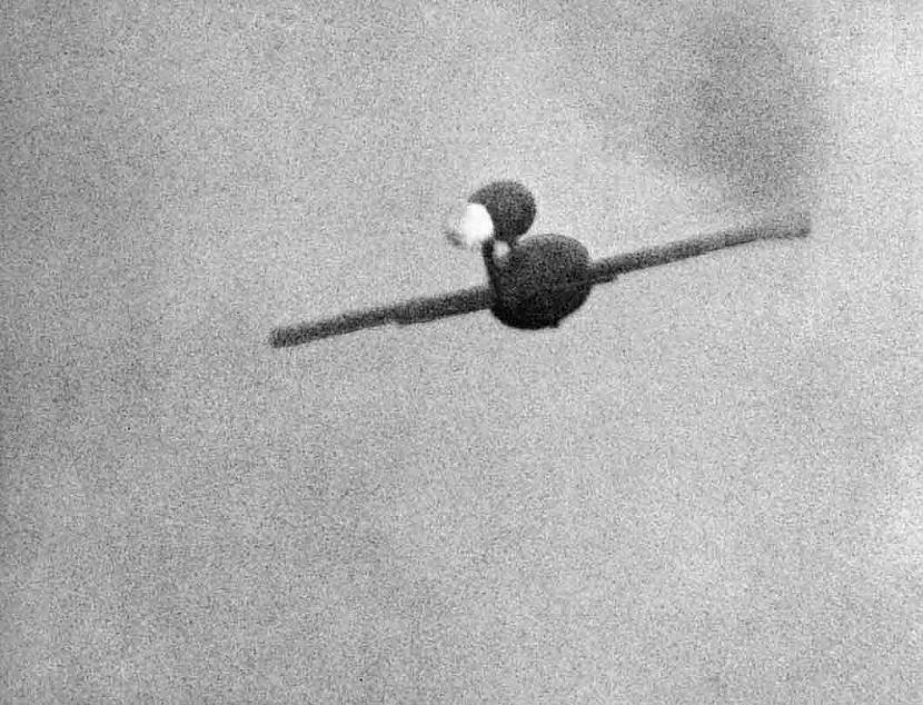 Pēc izscaronautām 4000 raķetēm... Autors: Rozā Vienradzis Nacistu superierocis – V-1