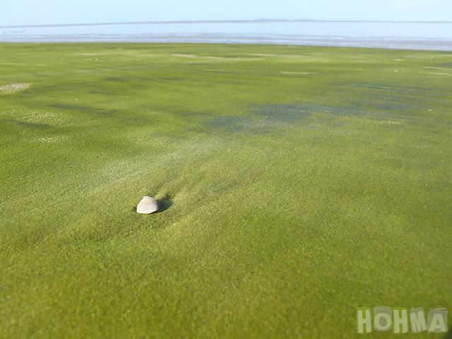 Zaļo smilscaronu pludmale... Autors: Fosilija Neparastākās pludmales pasaulē.~!