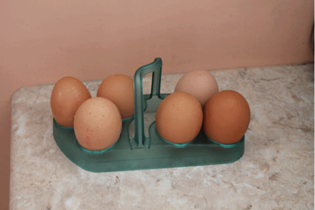 Biskvītam vajadzēs6 olas6 ēdk... Autors: gardumsēd Mājas tortes MINI versija