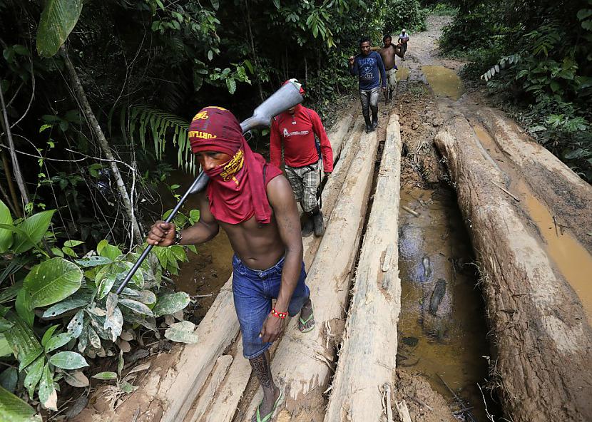 Patruļa Amazones džungļu... Autors: vodkam Cīņa pret  mežu ciršanu
