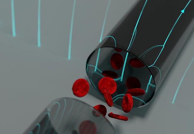 Mikroviļņi maina Tavu asins... Autors: pofig Kāpēc mikroviļņu krāsnis ir kaitīgas veselībai?