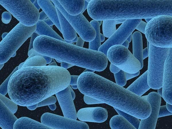 Nonākuscaronas cilvēka... Autors: MONTANNA Kā baktērijas atšķiras no vīrusiem?