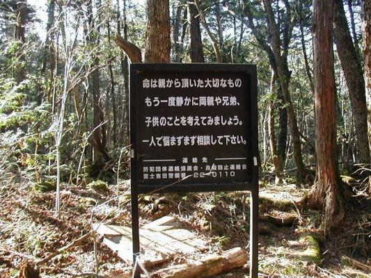 Aokigahara no malas izskatās... Autors: pofig Pašnāvību mežs Japānā