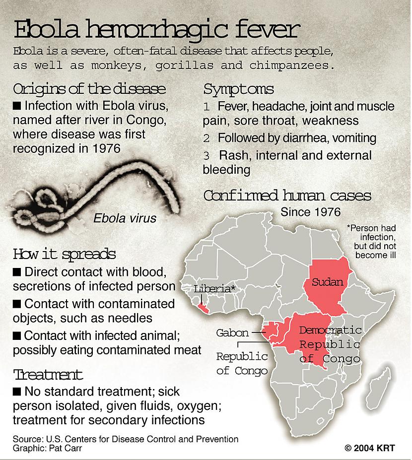 Ar Ebolas drudzi saslima arī 4... Autors: Raziels Baisais Ebolas bubulis