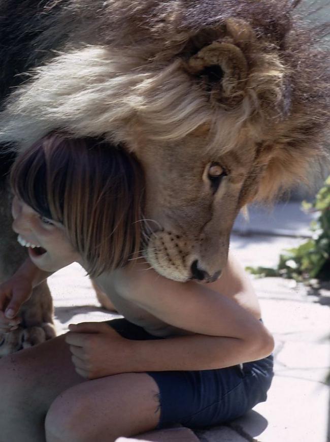 Nīls spēlējas ar bērnu Autors: mousetrap Viņa dzīvoja zem viena jumta ar lauvu