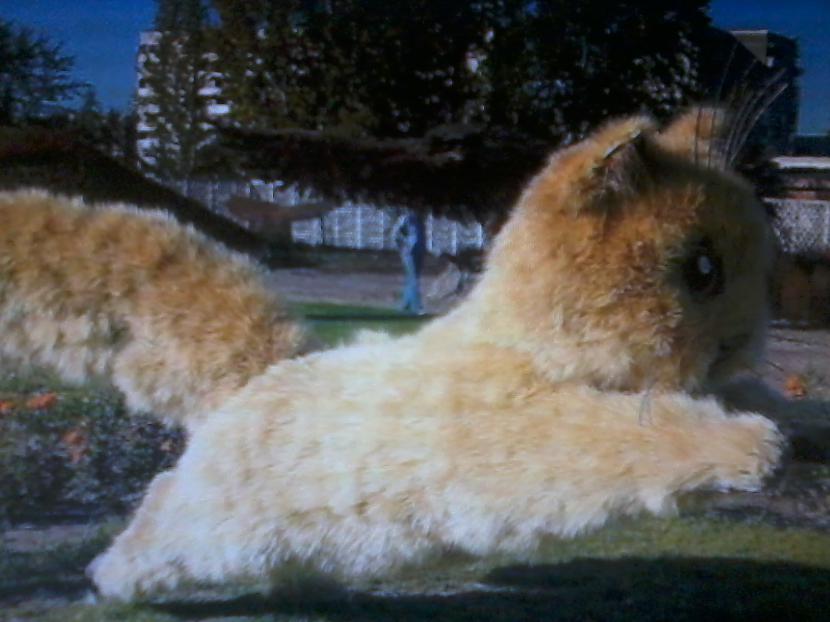 Milzīgs pūkains kaķēns Gribētu... Autors: Gmonster Neparastas skulptūras, kas nav bijušas spokos