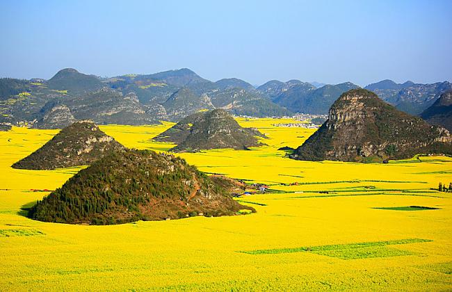 Rapscaronu lauki Lupingā Ķīna Autors: mousetrap Krāsainākas vietas uz mūsu planētas!