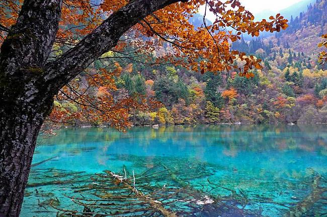 Piecu ziedu ezers Ķīna Autors: mousetrap Krāsainākas vietas uz mūsu planētas!
