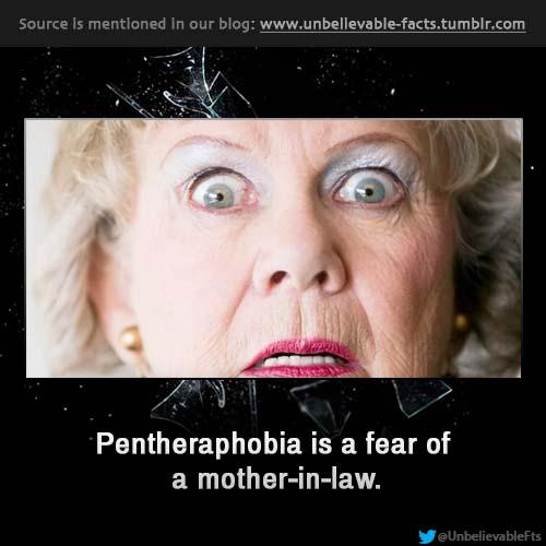 Pentheraphobia ir bailes no... Autors: VIĻŅUKS Šīs dienas piedāvājumā: 23 fakts! #4