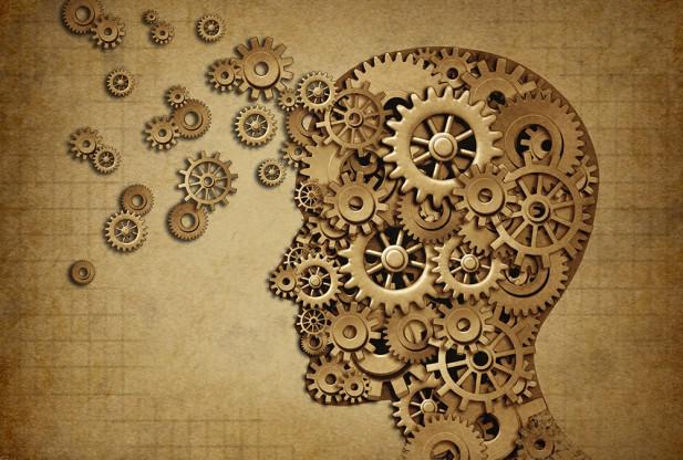5 Smadzeņu struktūra un to... Autors: Muujabele Vai tu tiešām atzītu, ka izmanto tikai 10% savu smadzeņu?