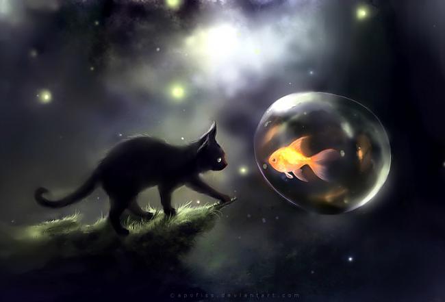 Melnie kaķi un pūcesKā zināms... Autors: Eronymusdead Par helovīniem...