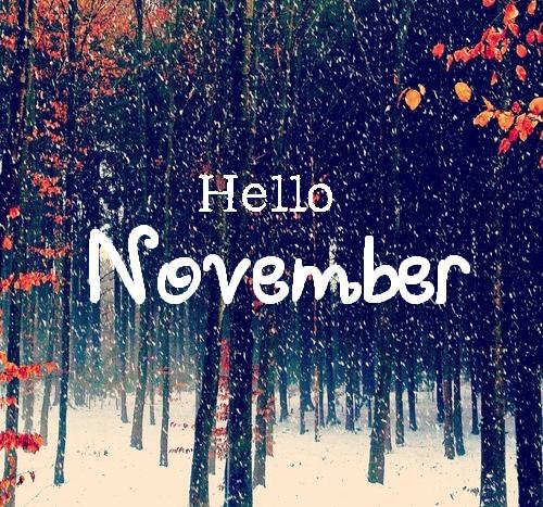  Autors: SanitaSS hello November.