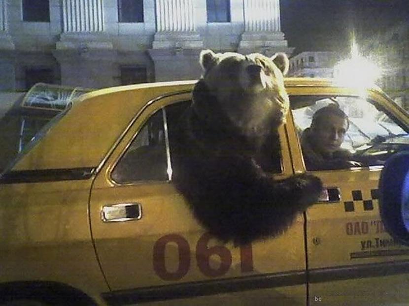 Taksometrs Krievijā Autors: druvalds Smieklīgi un interesanti attēli 92
