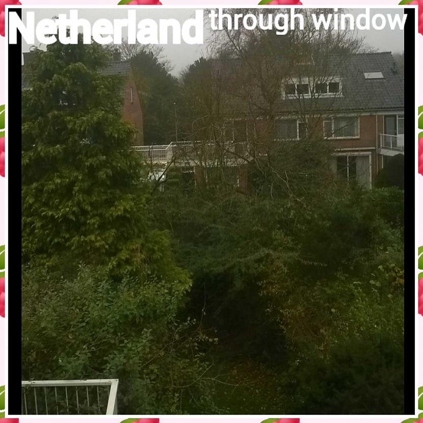 Niderlande Rijswijk uzņemts... Autors: ghost07 Kāds skats paveras no loga "interneta lietotājiem" visā pasaulē