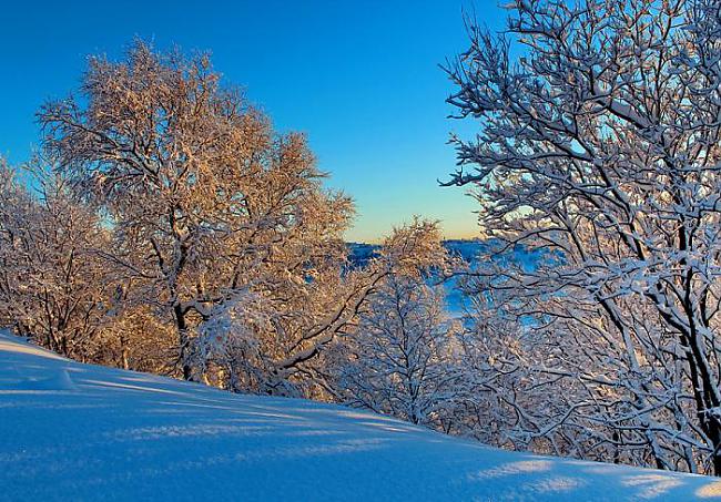  Autors: Fosilija Ziemas bildes.