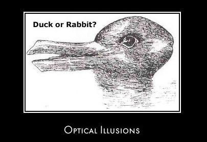 tu redzi zaki  vai pīli Autors: esterefris optiskās ilūzijas