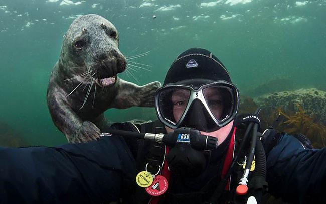  Autors: Fosilija 13 visu laiku smieklīgākās zemūdens fotogrāfijas