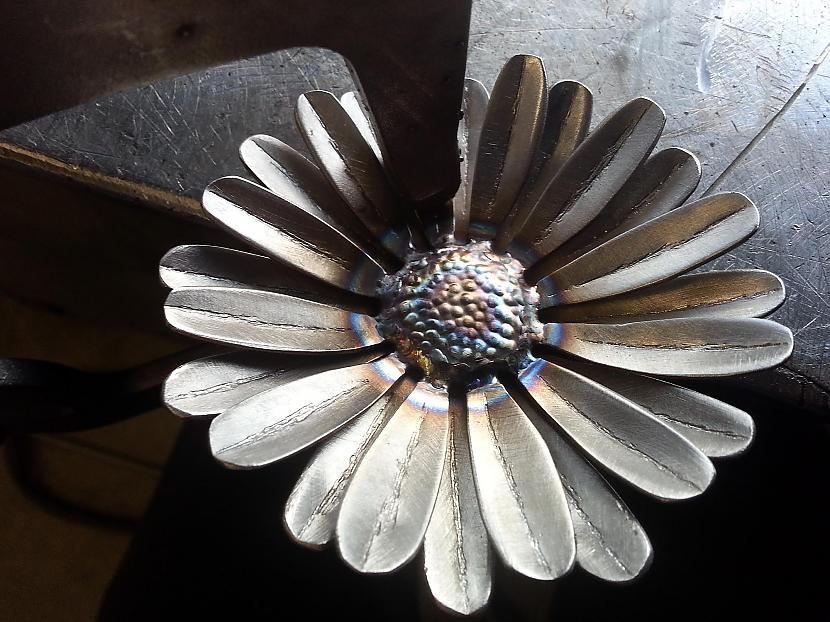  Autors: kpot DIY. Flower, Daisy From metal