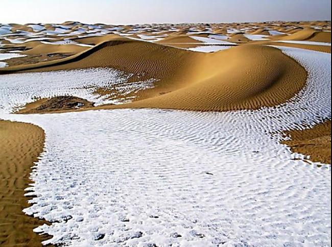 Sahāras tuksnesī 1979 gada 18... Autors: Fosilija Pilnīgi bezjēdzīgi, tomēr satriecoši interesanti fakti.