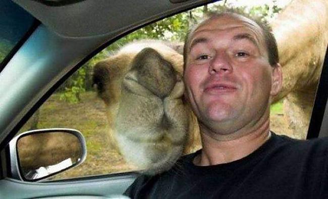  Autors: BodyBoard Dzīvnieki arī grib selfiju!