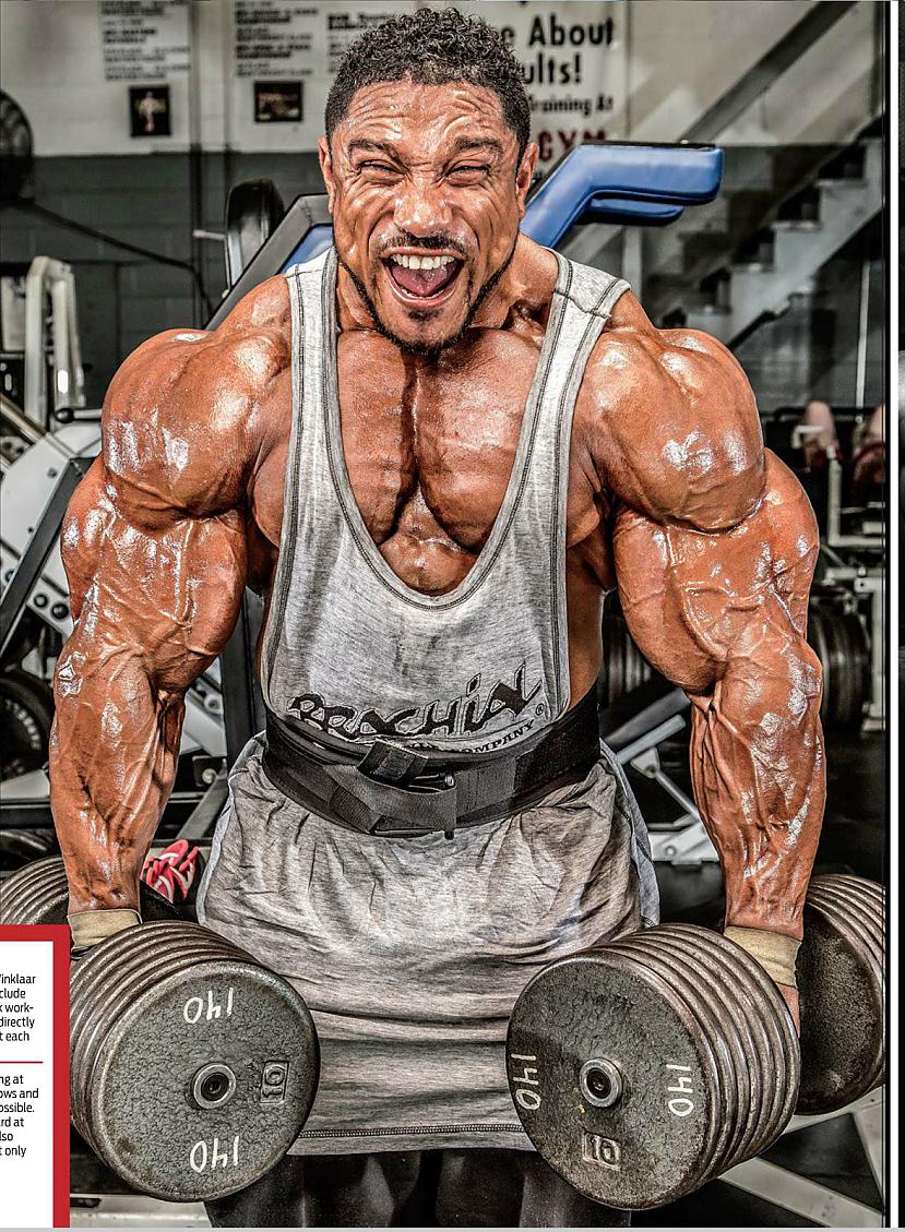  Autors: Stallion Roelly Winklaar.