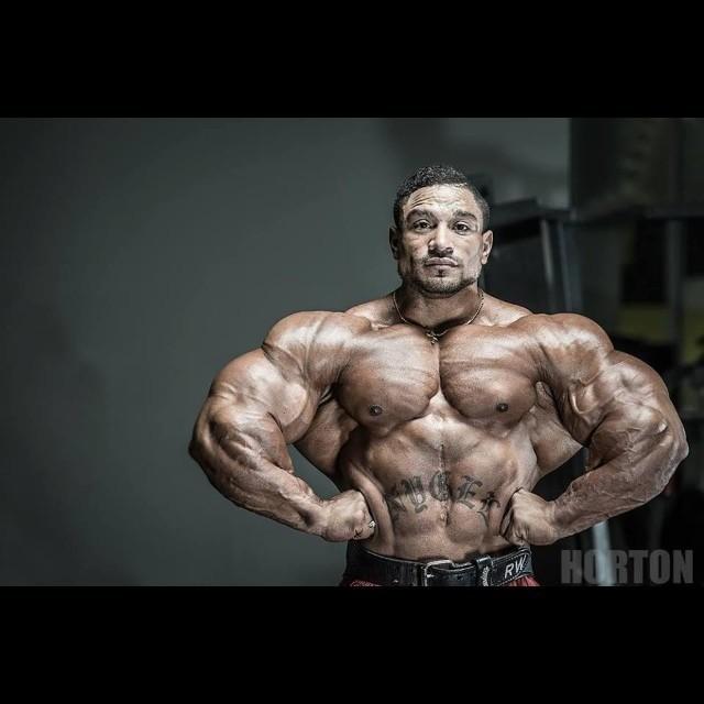  Autors: Stallion Roelly Winklaar.