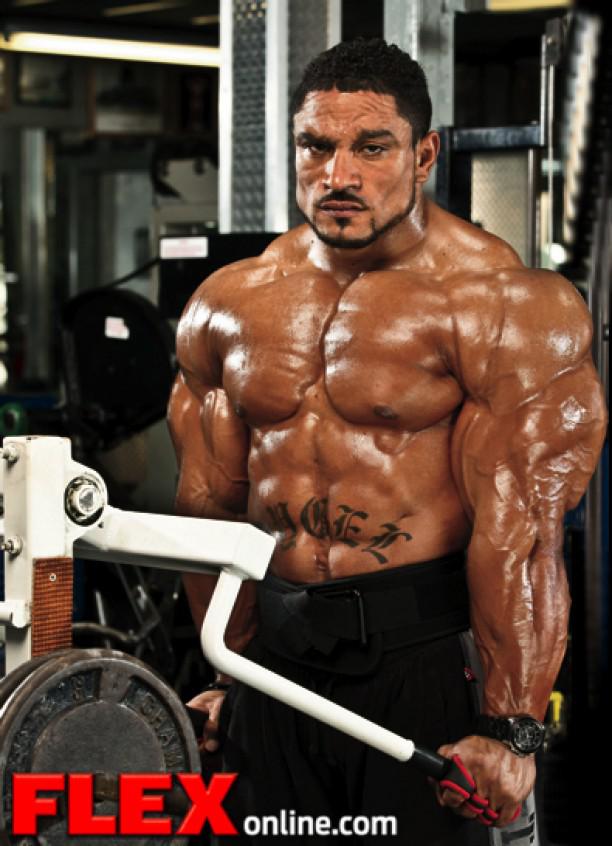  Autors: Stallion Roelly Winklaar.