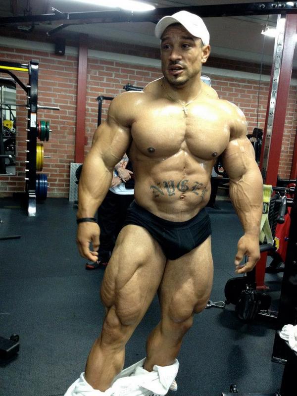  Autors: Stallion Roelly Winklaar.