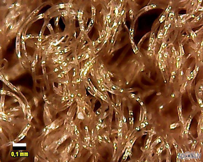 Tuvumā redzamas poliamīda... Autors: Moonwalker Ikdienas priekšmeti manā mikroskopā 4. daļa