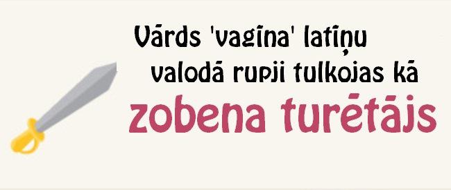  Autors: kaķūns 10 lietas, kuras tu nezināji par VAGĪNĀM