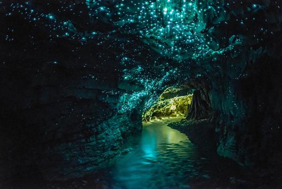 Glow Worm Cave  Jaunzēlande... Autors: Fosilija Braucam ceļojumā?