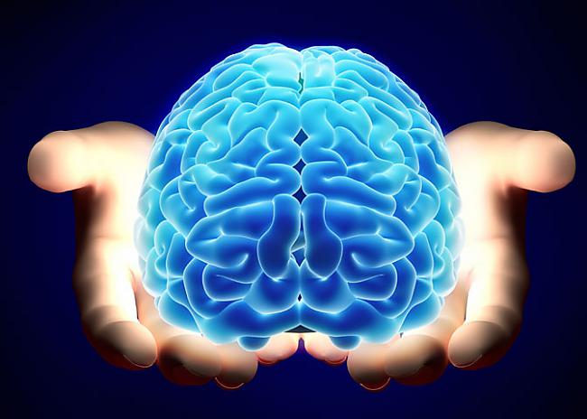 Mūsu smadzenēs ir 25 Miljoni... Autors: Geimeris Fakti par cilvēka ķermeni!