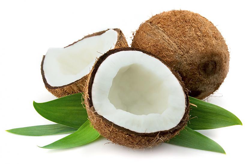 Kokospalmas mūžs ir ap 100... Autors: kokosriekts 6 fakti par kokosu