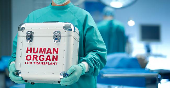 Eksistē arī vairāki zinātniski... Autors: Prāta Darbnīca Vai pēc orgānu transplantācijas cilvēks iemanto donora personību?