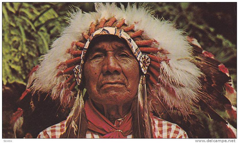 Čeroki indiāņi nemēdīja vilkus... Autors: Kapteinis Cerība Interesanti fakti par VILKIEM 2. daļa.