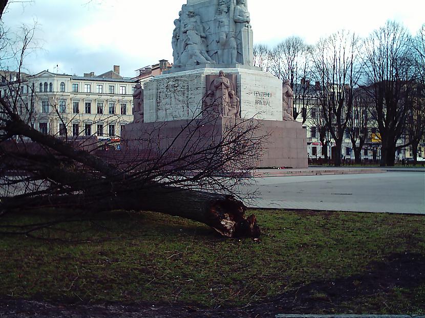 Klimata pārmaiņu rezultātā... Autors: Fosilija Vai tu to zināji par Latviju? [4]