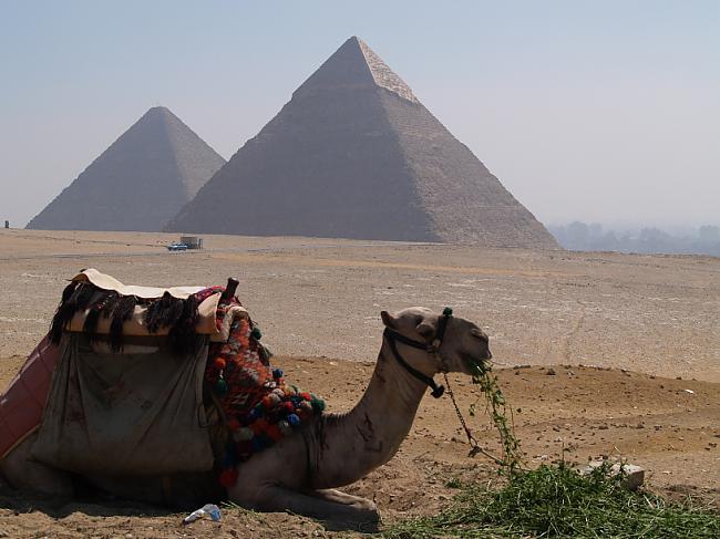 Ēģipte nav valsts uz kuru... Autors: Fosilija Ceļojums uz Ēģipti