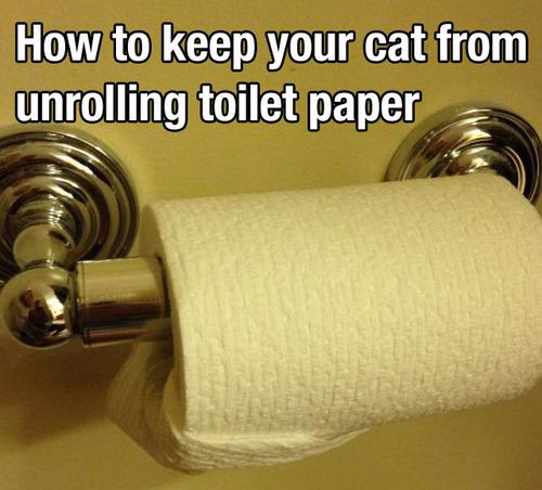 Kā pasargāt toaletes papīru no... Autors: son4akon4a Kā uzlauzt dzīvi