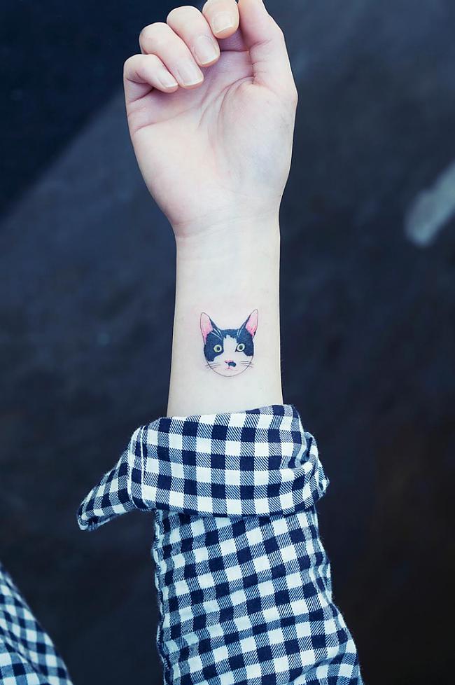  Autors: marijaku Mīlīgākais veids, kā pārkāpt likumu Dienvidkorejā - kaķu tetovējumi