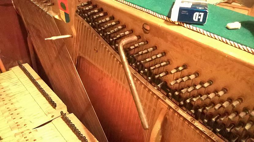 Okiņilielums peļusūdu... Autors: kapuracējs Klavieru mazā apkope.