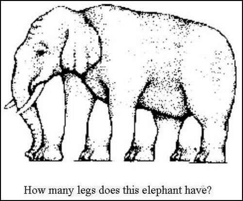 Cik kāju Tu zilonim vari... Autors: eliibechux Top 6 optisko ilūziju piemēri #1