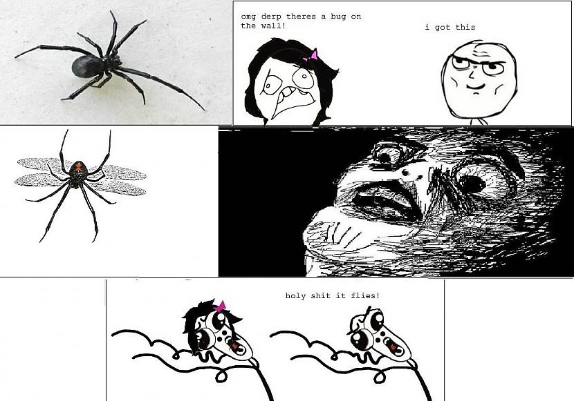 Respektīvi ja tu neuzvedīsies... Autors: Trinitrium Kāpēc zirnekļi tevi vienmēr atrod? /+Arachnophobia/