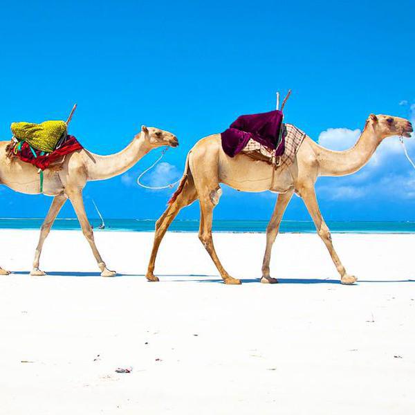 Balto smilscaronu pludmales... Autors: ShadowKiller Āfrikā nav tik slikti!