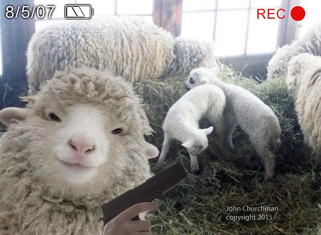  Autors: sancisj Ja esi aita, neliec selfiju internetā! Pag, ko?