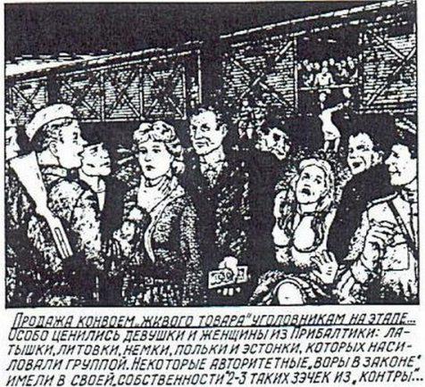 Cietumsargi pārdeva quotdzīvu... Autors: sancisj Šausminoši zīmējumi no Gulagas #2