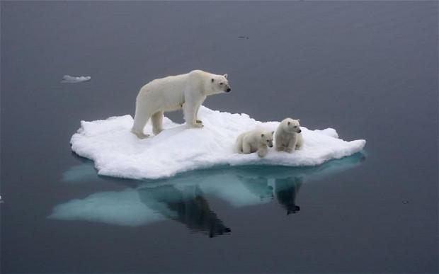 Izkusīs nevien Arktikas un... Autors: WhatDoesTheFoxSay Pasaules gals ir tepat ?