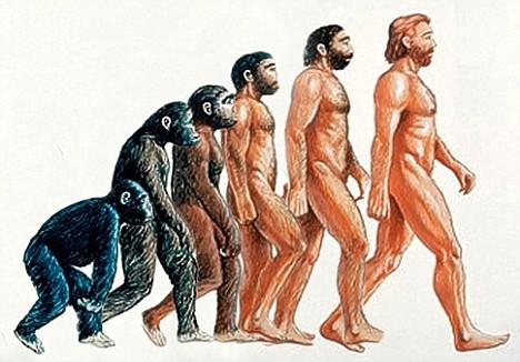 Evolūcijai ir daudz vairāk... Autors: kafuta Atheisms pret Theismu.