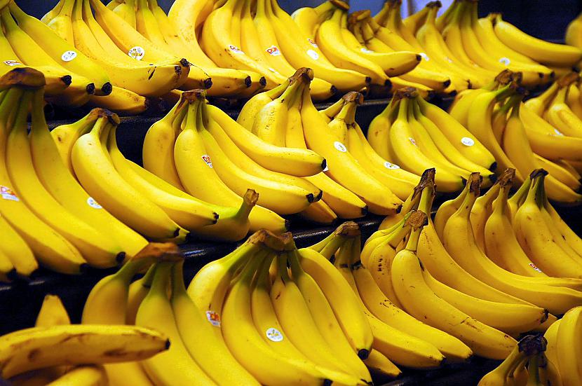 Banāni ir populārākais auglis... Autors: Mārtiņš2 Nedzirdēti fakti par Ameriku